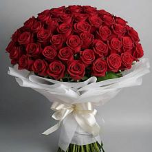 Букет 101 Красная роза Блэк Мэджик в Кольцово Свердловская область