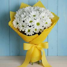 Букет цветов из:  Хризантемы в Кольцово Свердловская область