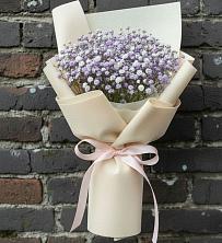 Букет цветов из:  Гипсофила в Кольцово Свердловская область
