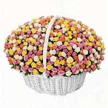 Премиум букет из: Розы в Кольцово Свердловская область