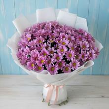 Букет цветов из:  Хризантемы в Кольцово Свердловская область