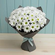 Букет цветов из:  Хризантемы в Кольцово Свердловская область
