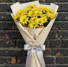 Букет цветов из:  Хризантемы в Кольцово Свердловская область