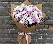 Букет цветов из:  Хризантемы в Кольцово Свердловская область