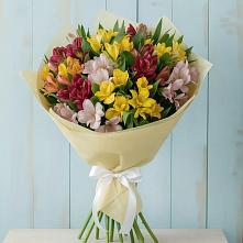 Букет цветов из:  Альстромерии в Кольцово Свердловская область