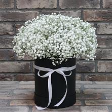 Цветочная композиция из Гипсофила в шляпной коробке в Кольцово Свердловская область