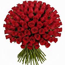 Букет Красные розы Чери Лав #REPLACE_PRED# Кольцово Свердловская область