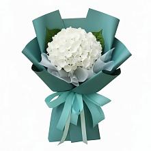 Букет цветов из:  Гортензия #REPLACE_PRED# Кольцово Свердловская область